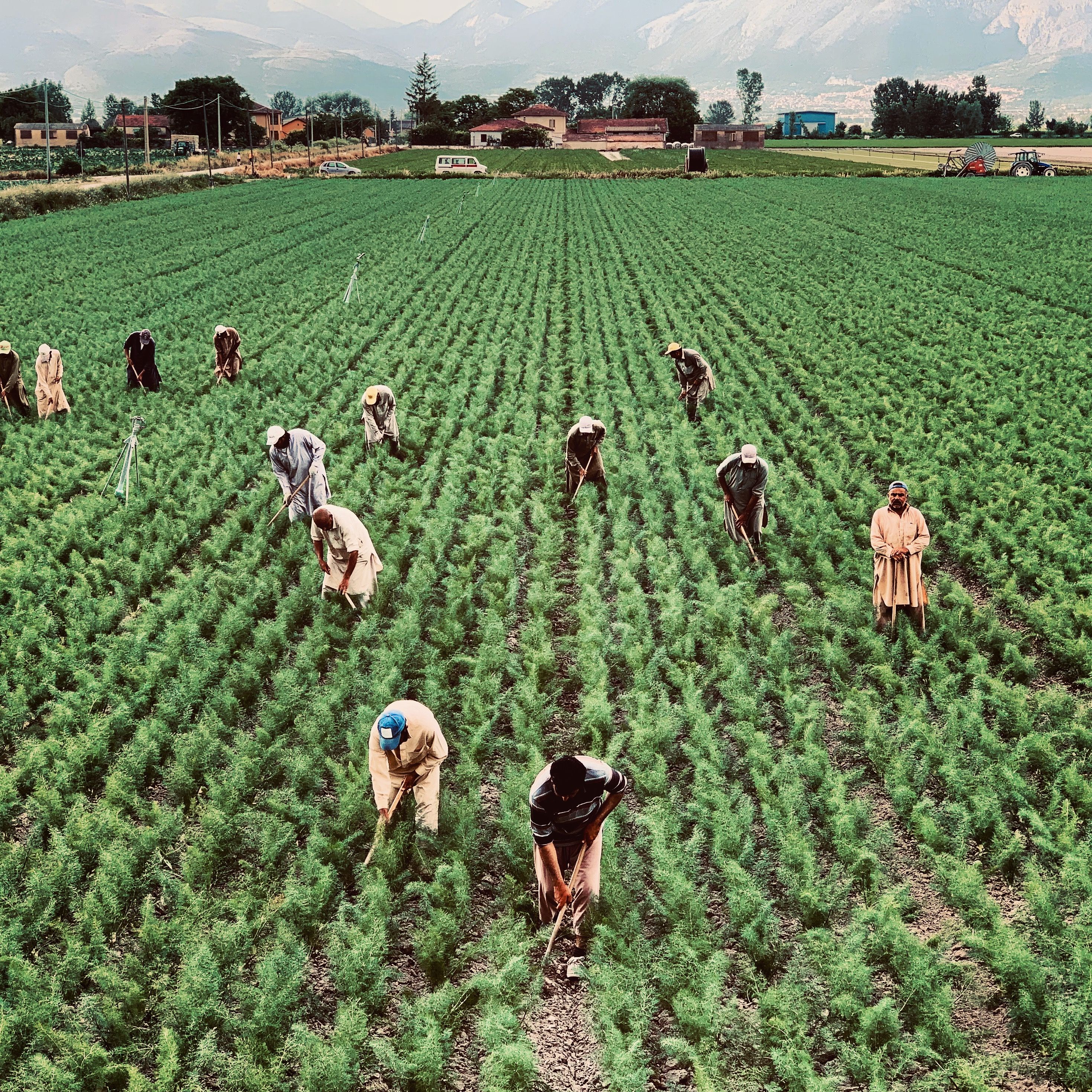 Large Scale Crop Cultivation